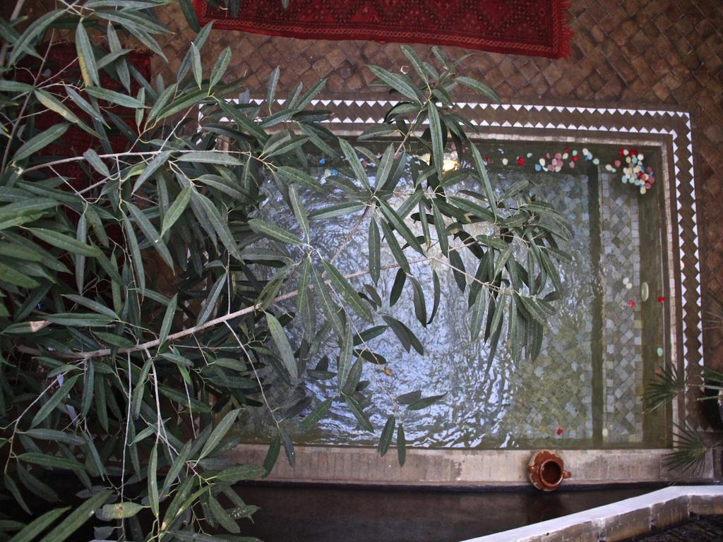 Riad Katia マラケシュ エクステリア 写真